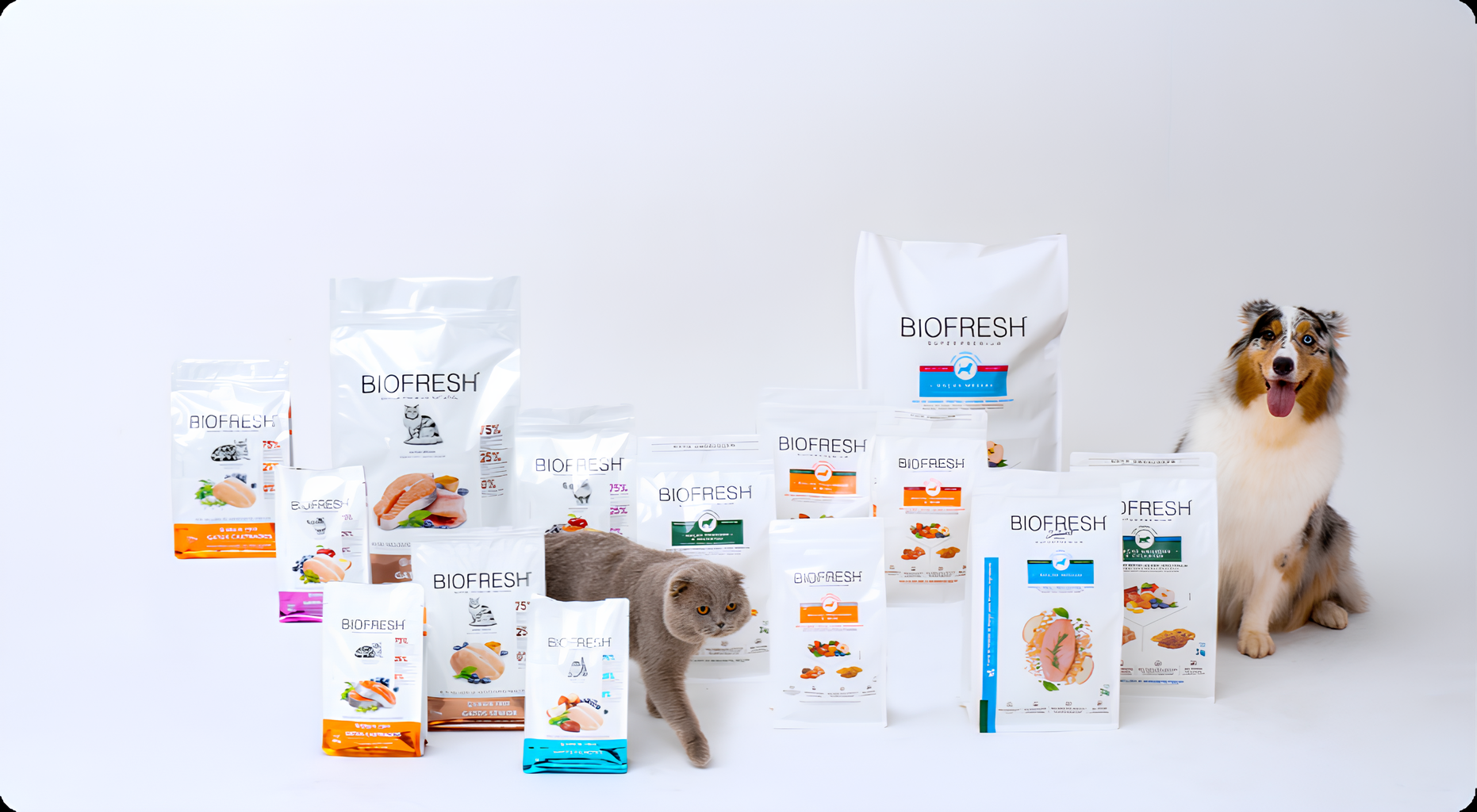 imgi_38_ration-presentation